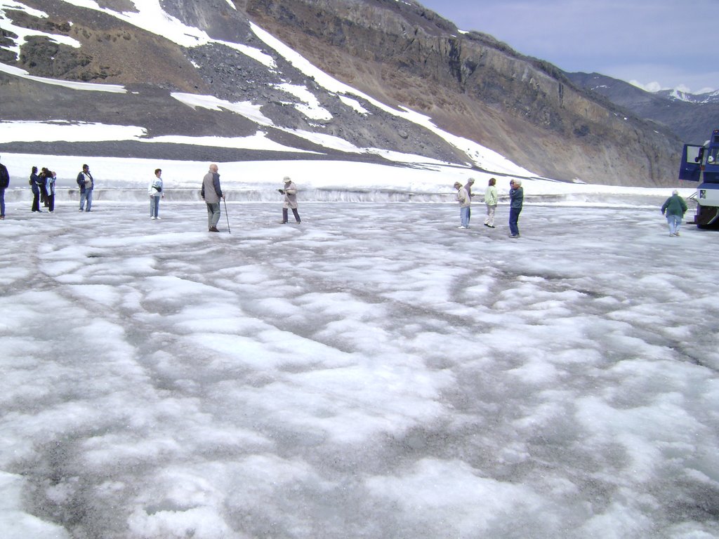 On the Columbia Icefield by Lin Lin