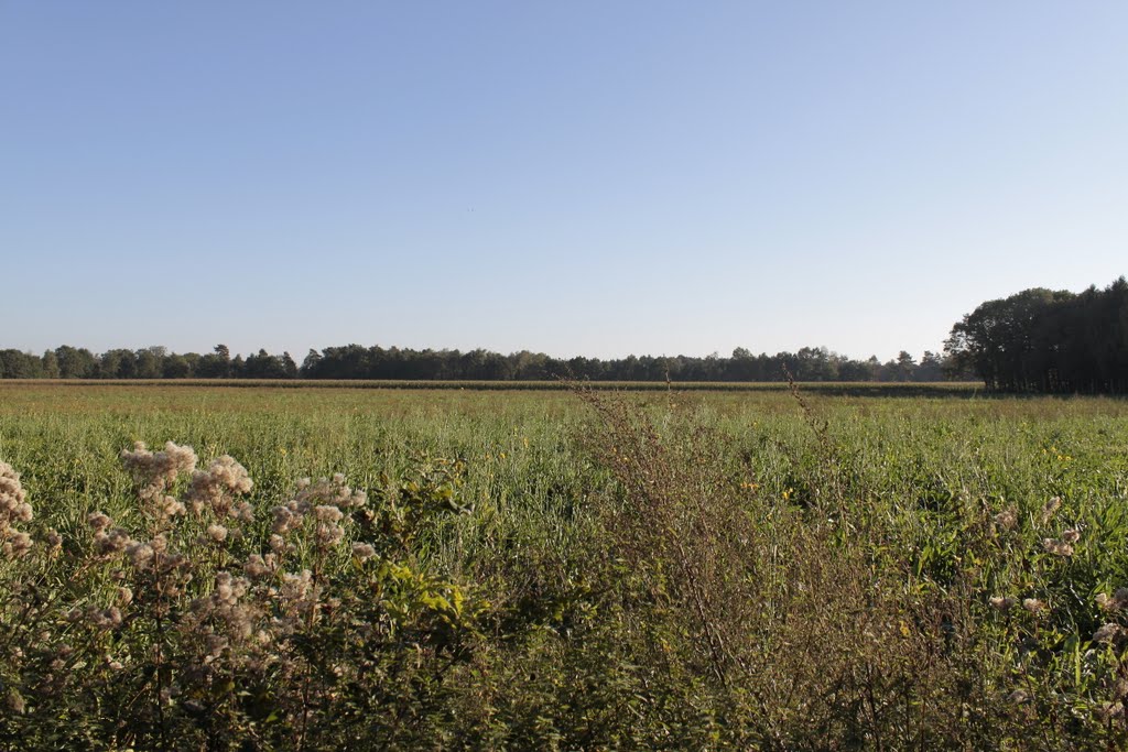 Natuurreservaat: Liereman Oud-Turnhout by Alex Vandeweyer