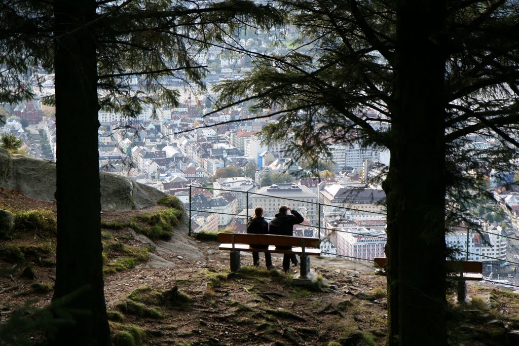 View from Føyen by Stein Helge Viken