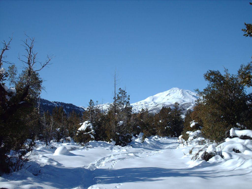 Vista al Nevado de Chillan Desde Fundo El Plan by Javier Salazar