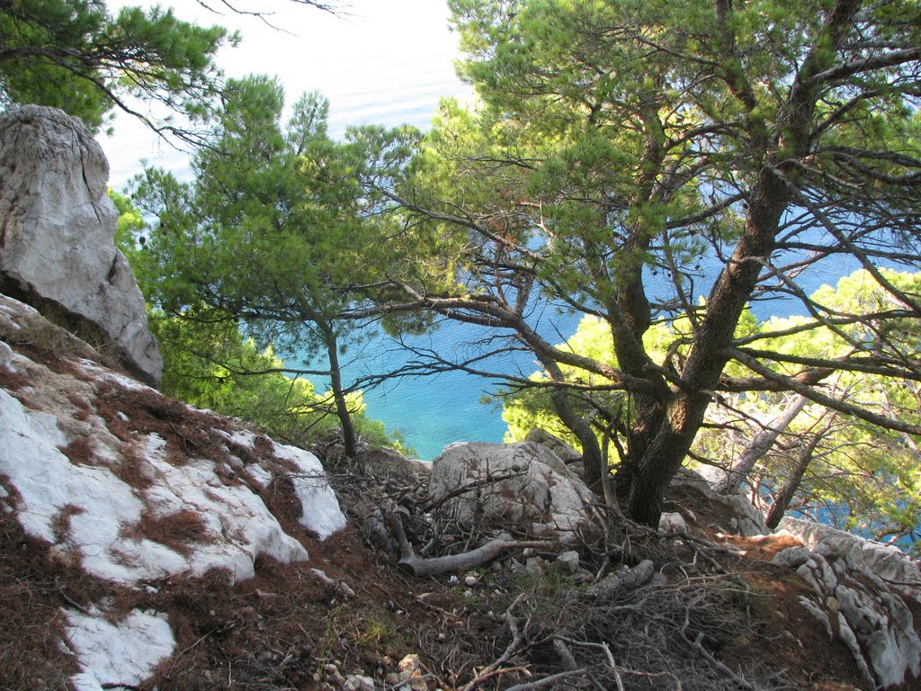 21300, Makarska, Croatia by Sveta Lebedeva