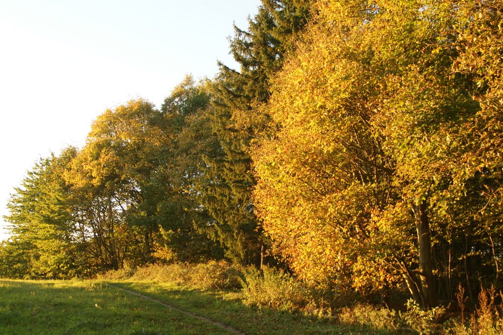 Autumn by Jens Cederskjold