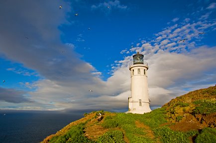 Anacapa Lighthouse, Channel Islands National Park, Ventura County, California by Kurt Preissler