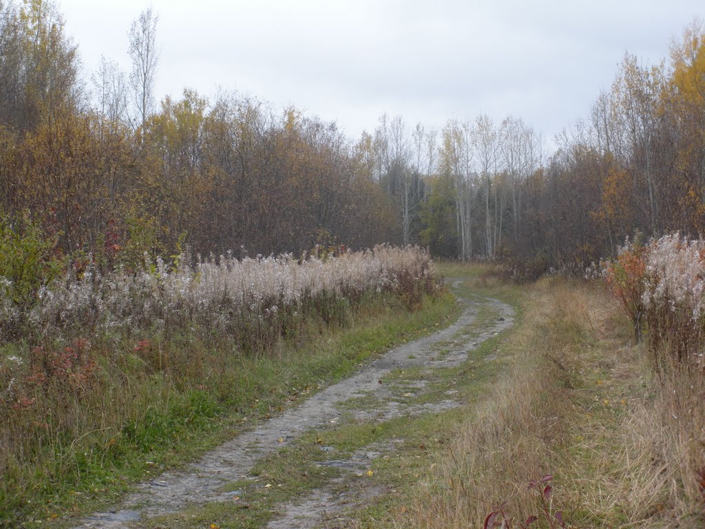 Sentier récréatif en automne by Martin Filion