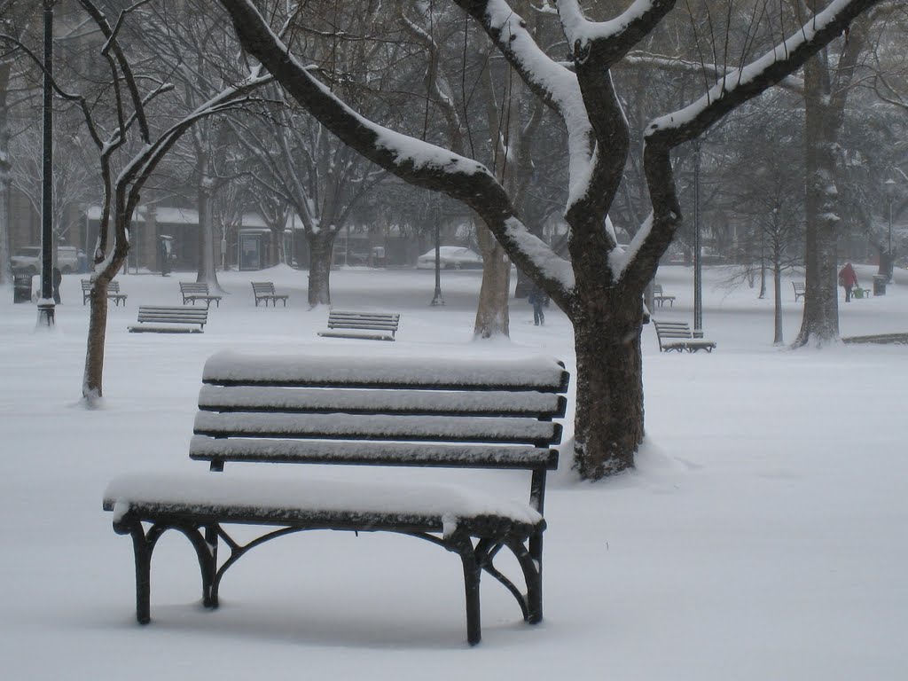 Snowy bench by ejc17