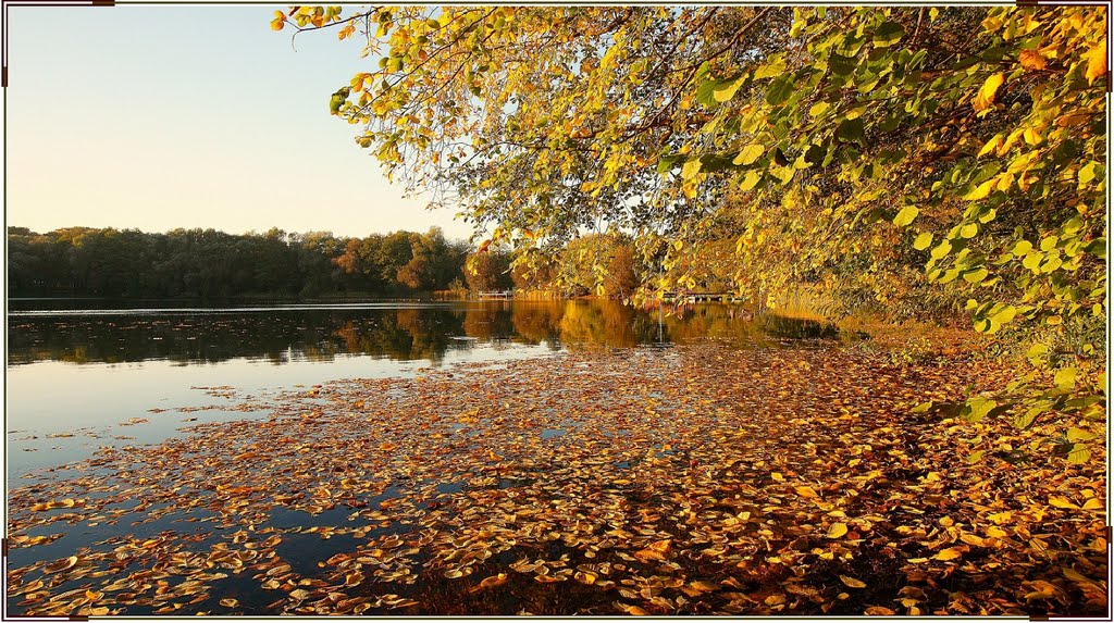 Herbstzauber by H. Hönow