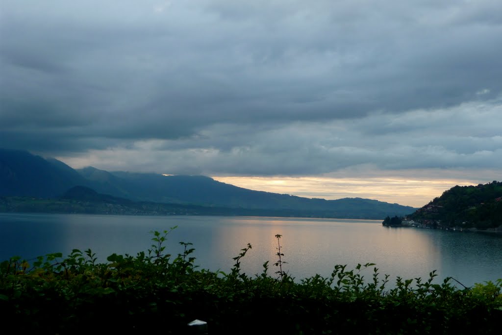 Abendstimmung am Thunersee bei Merligen by Irena B.