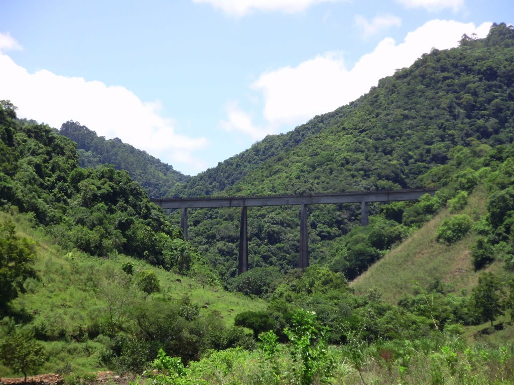 Ferrovia do Trigo - Linha Guaporé, Muçum/RS by Edinho Kunzler