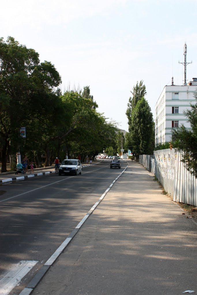 Дорога к набережной/Road to the embankment by Alexander Gapon