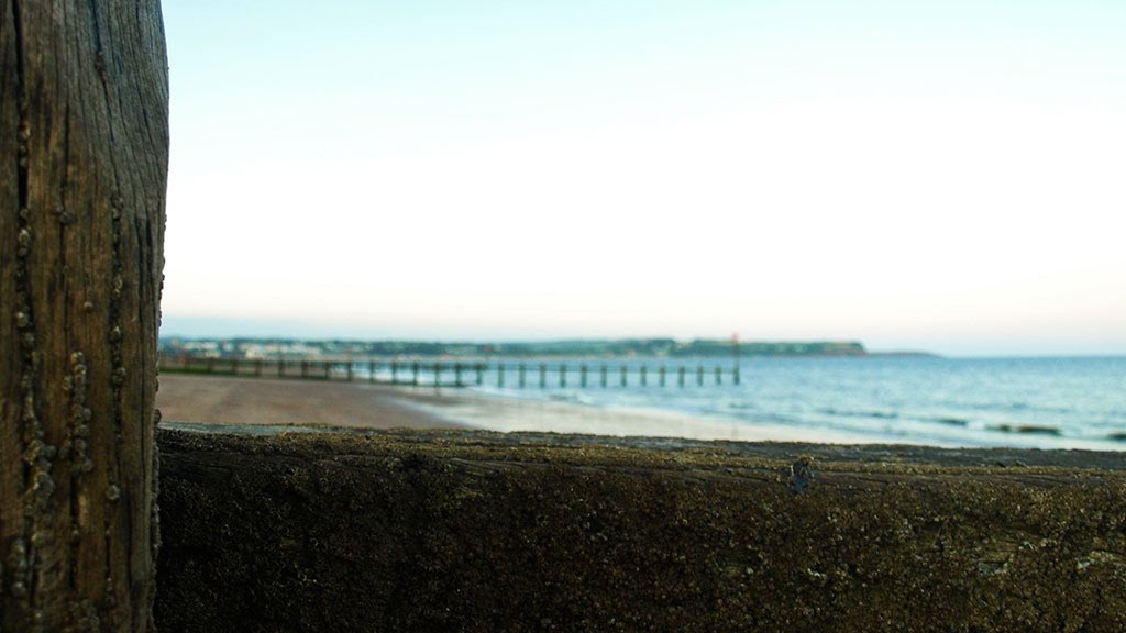 Groynes on Dawlish Warren beach by Richard H