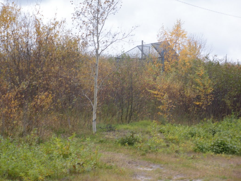 Terrain de baseball en friche by Martin Filion