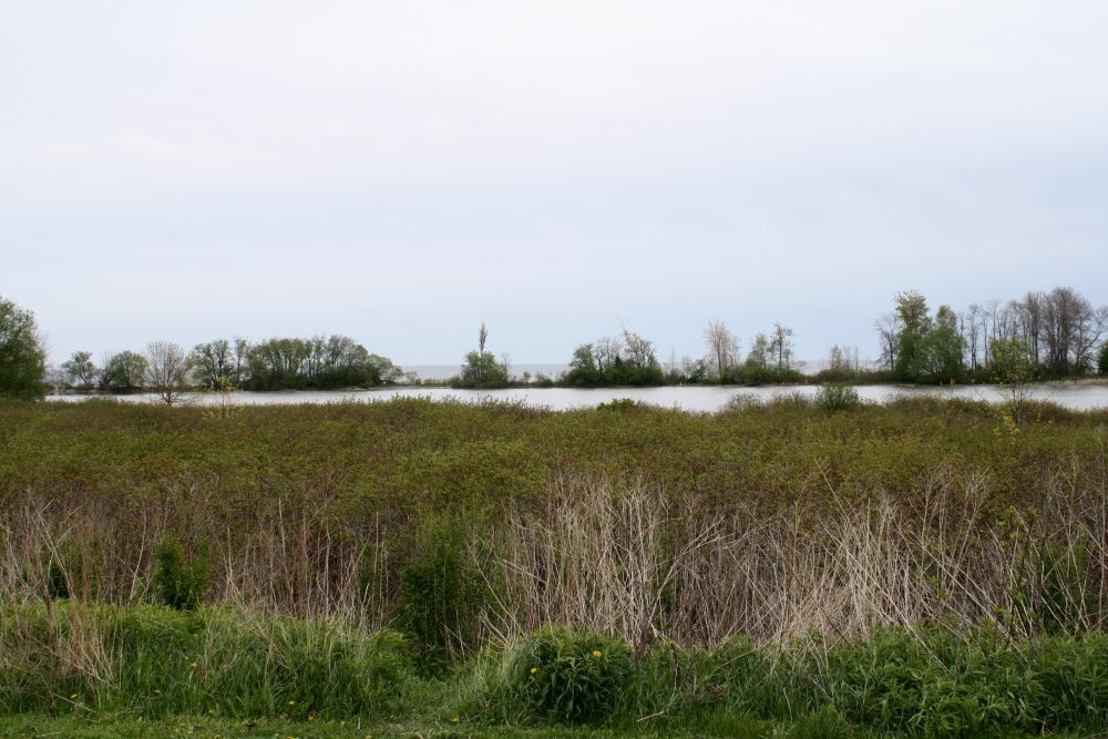 Marsh view from the trail, Spring 2010 by feibian