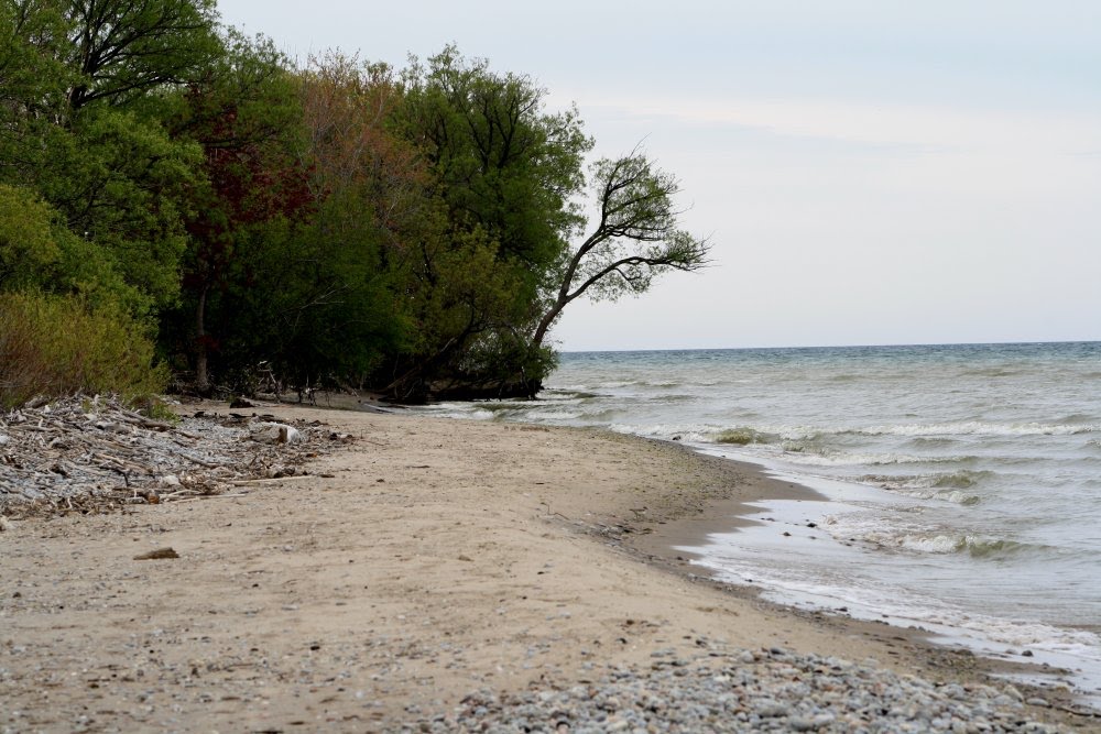 Beach during spring 2010 by feibian