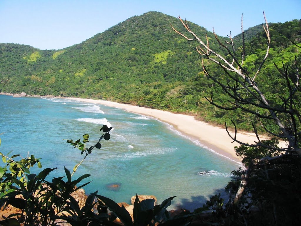 Praia do Cachadaço - Trindade RJ by Marcos Wilkens