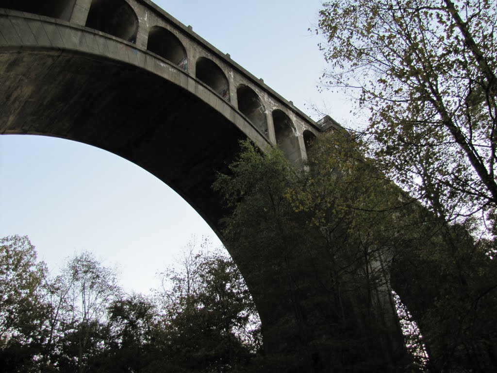 Underneath Paulinskill Viaduct by Chris Sanfino