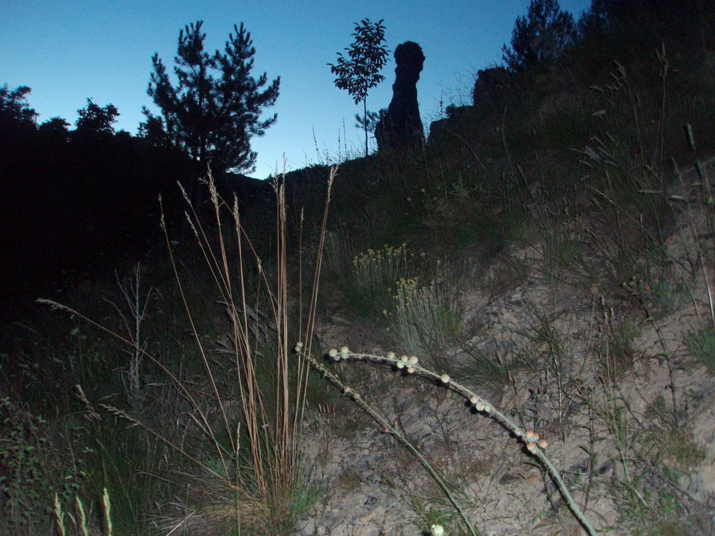 Gran pedrusco en el anochecer de Covanera by Yago, Valladolid