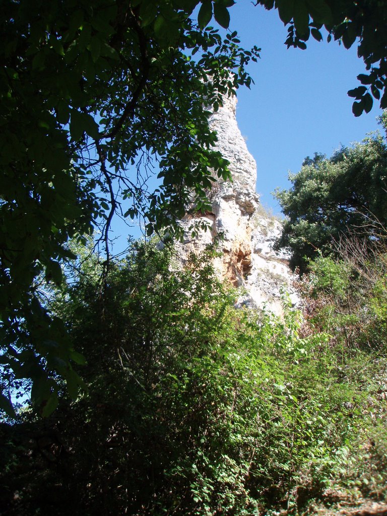 La roca tras los árboles by Yago, Valladolid