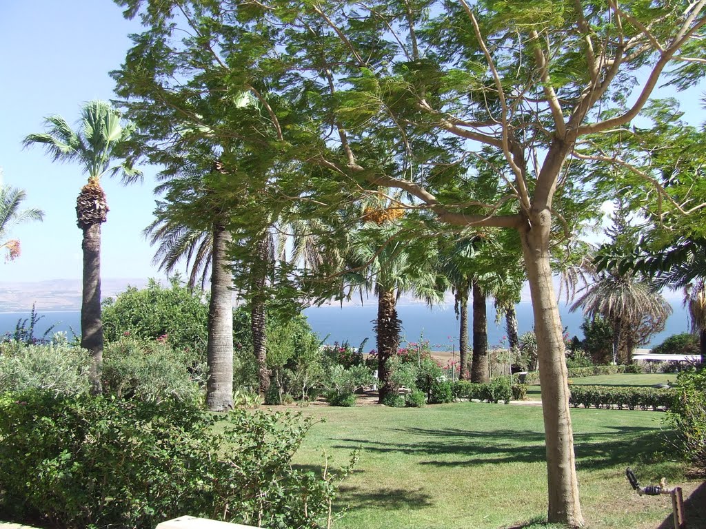 Israel. The garden on the Mount of the Beatitudes (42015544) by Viktor Bakhmutov