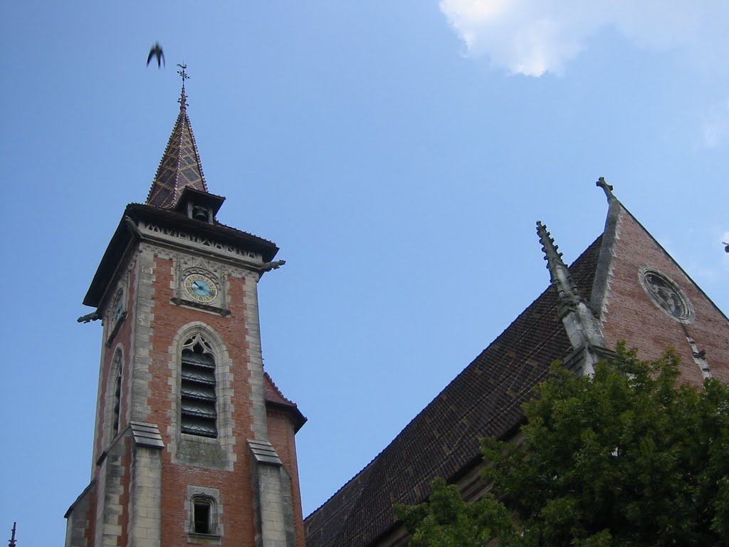 Louhans - Eglise by ROUYER Philippe