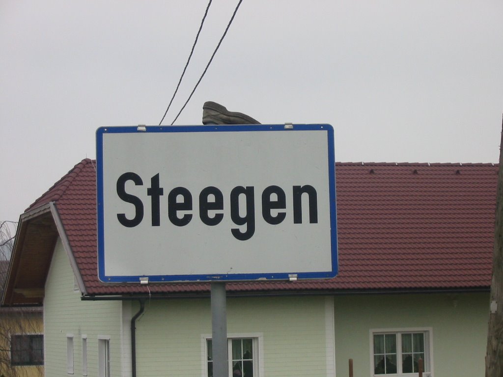 Steegen - Schuh by aaaa14