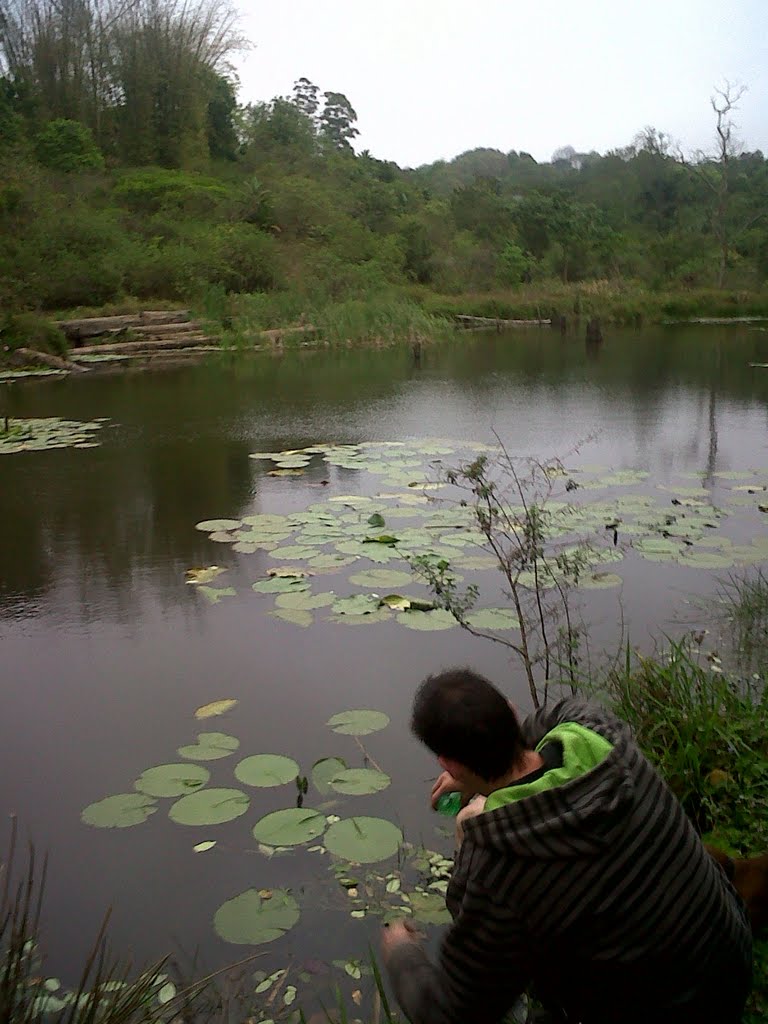 Iphiti Nature Reserve by Nikki Shrives