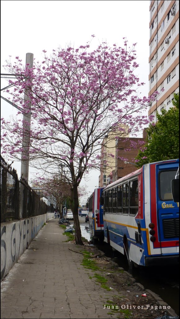 Lanús Oeste, Buenos Aires Province, Argentina by Juan Oliver Pagano