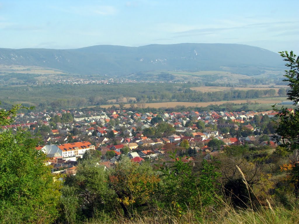 Dorog, 2510 Hungary by posttag