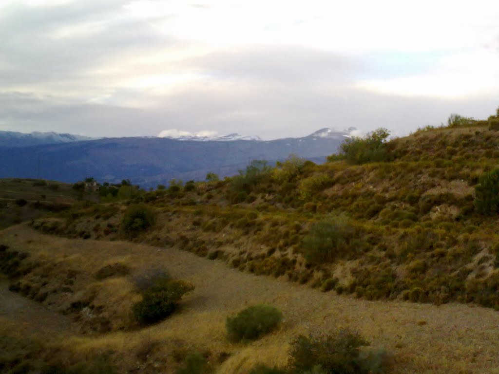 Al fondo, Sierra Nevada. Octubre de 2010 by viajeroandaluz