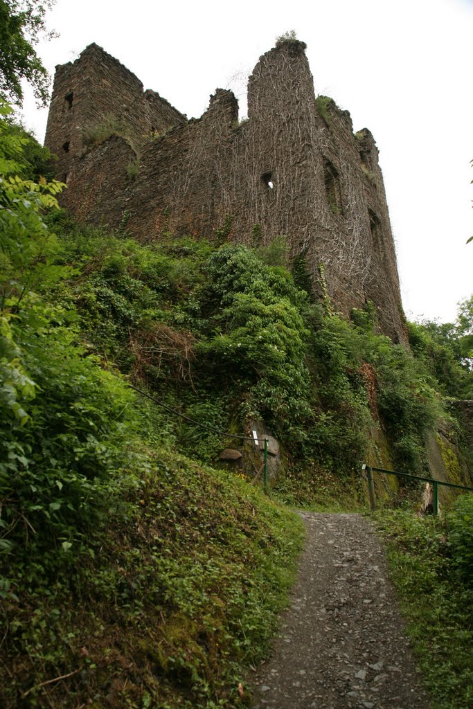 Burg Are, Altenahr, Rheinland-Pfalz, Deutschland by Hans Sterkendries