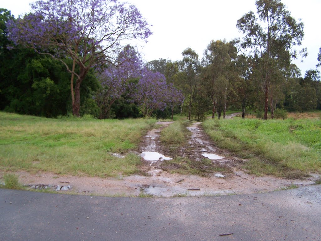 Priors Pocket Road, Priors Pocket, Queensland (south end) by Patrick Wood