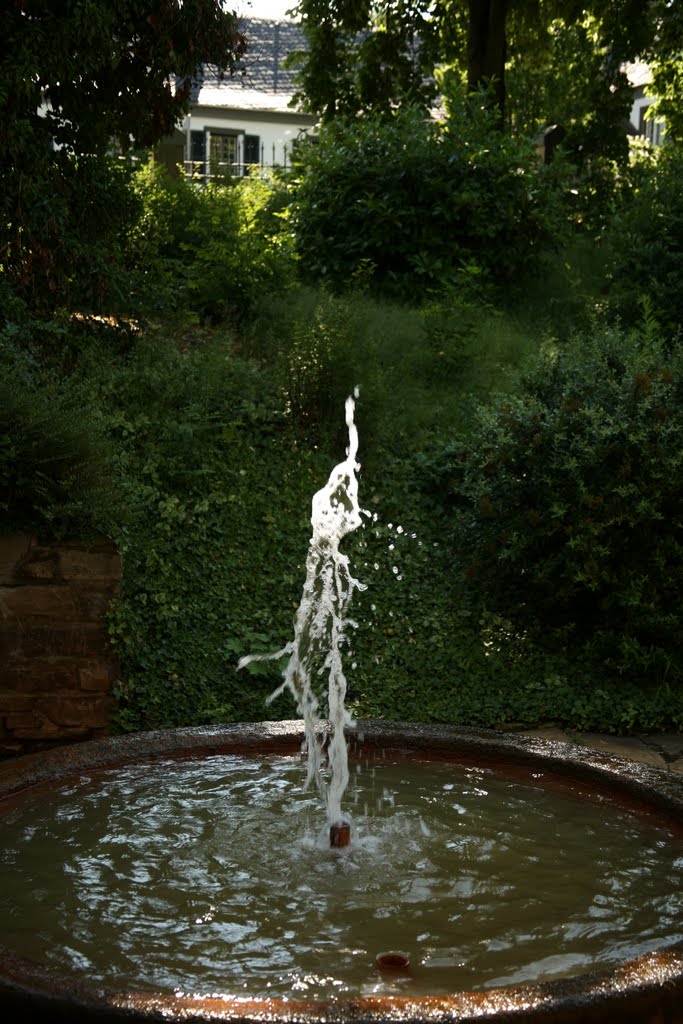 Kurpark, Bad Neuenahr, Bad Neuenahr-Ahrweiler, Rheinland-Pfalz, Deutschland by Hans Sterkendries