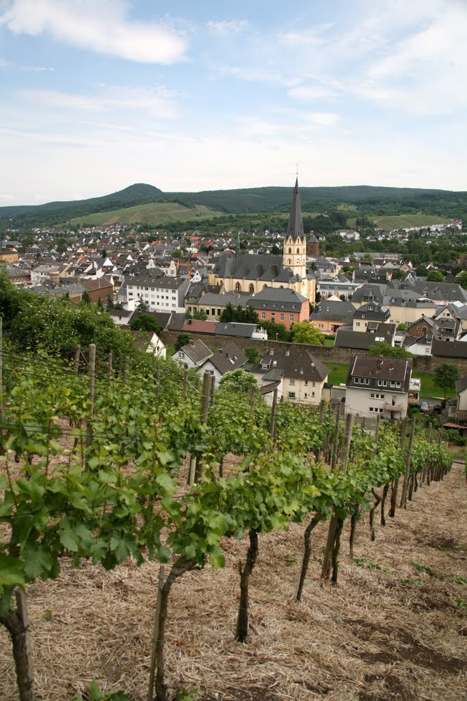 Ahrweiler, Bad Neuenahr-Ahrweiler, Rheinland-Pfalz, Deutschland by Hans Sterkendries