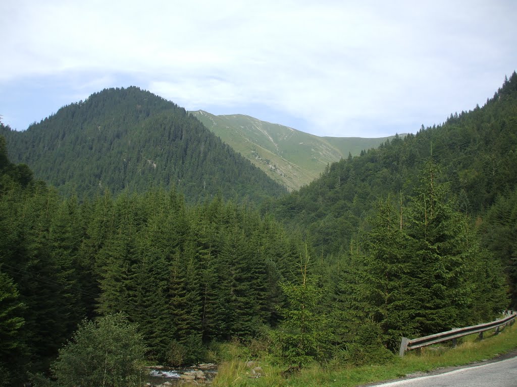 Transfagarasan 2010 by George Marinescu