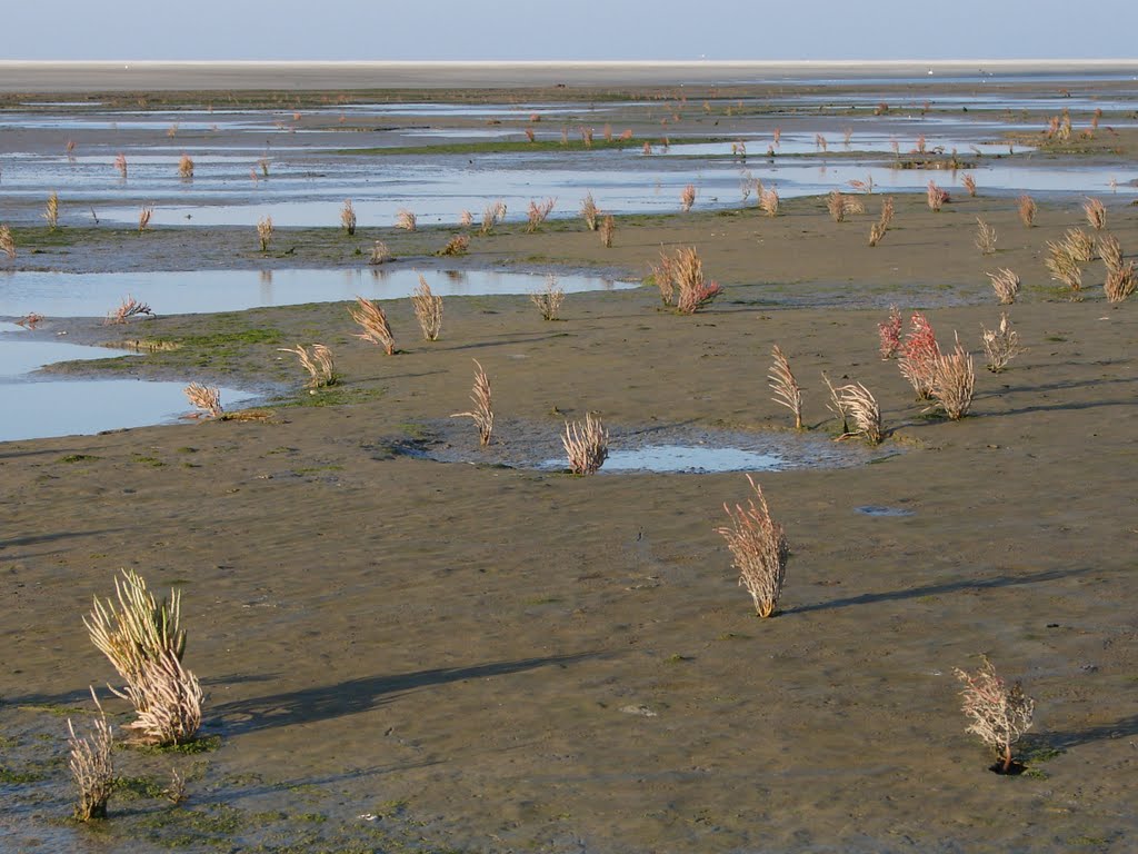 Schiermonnikoog, westerstrand, 9-okt-2010 by Michel Klemann