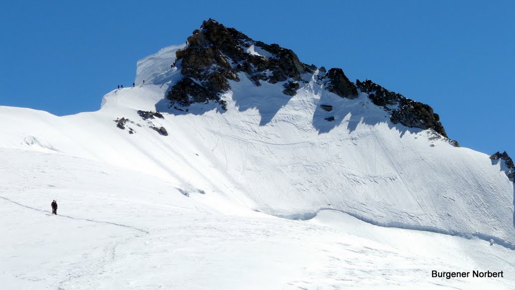 Mont Blanc du Tacul 4248 müM. by Norbert Burgener