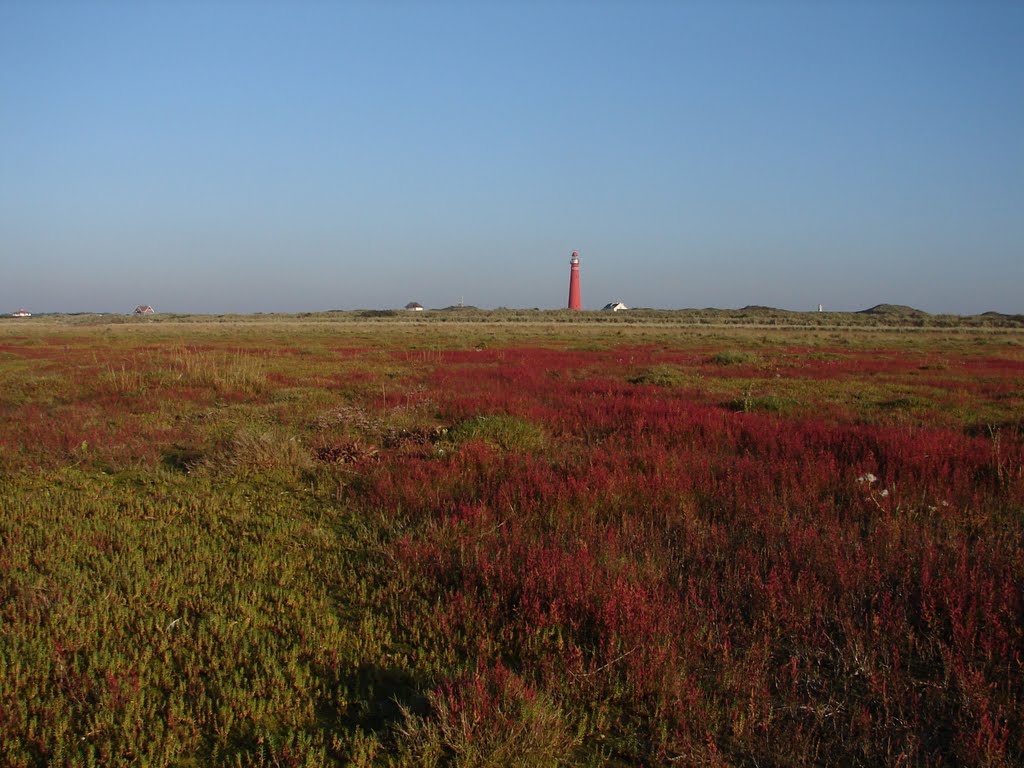 Schiermonnikoog, westerstrand, 9-okt-2010 by Michel Klemann