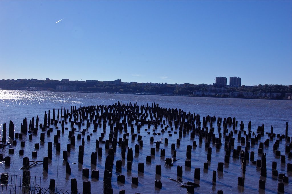 Hudson River (Old) Pier Remnants by dotcalm9