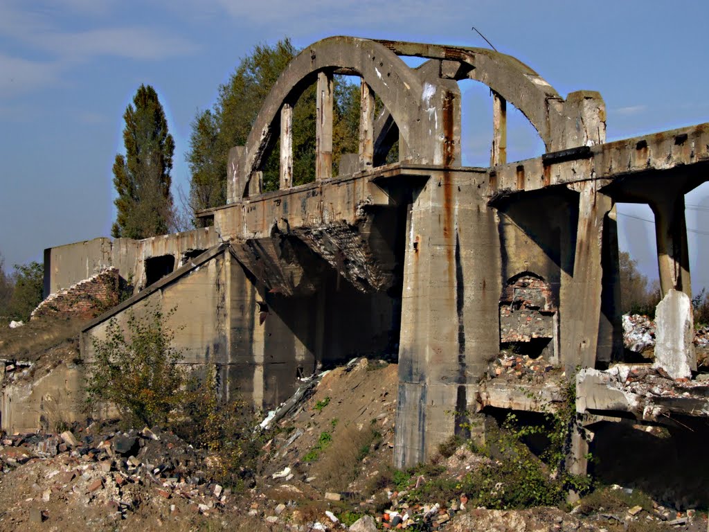 Zinc Smelter "Uthemann", residues in the narrow-gauge railway flyover by M@tthew 888