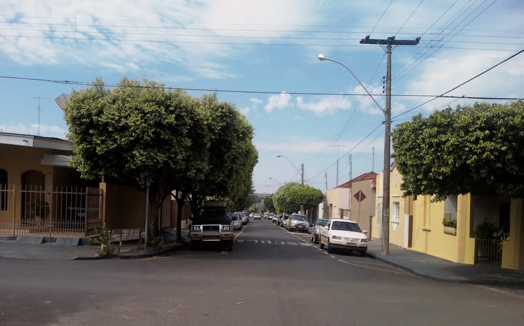 Monte Aprazível - Rua São João/Duque De Caxias by Vanderlei Bissiato