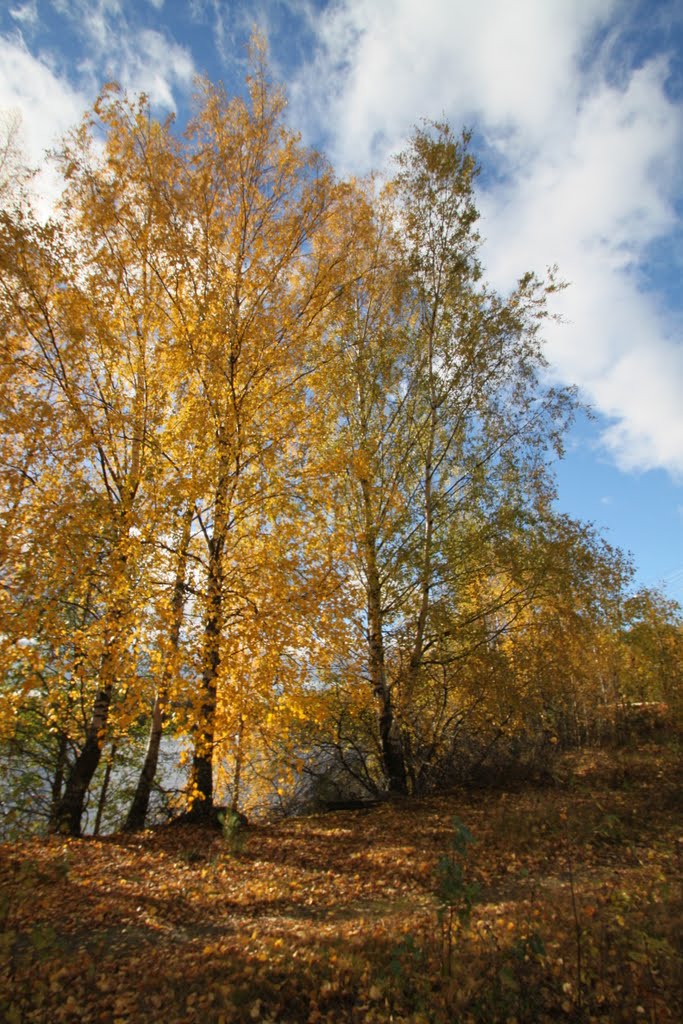 Pirkanmaa, Finland by Harri Hedman