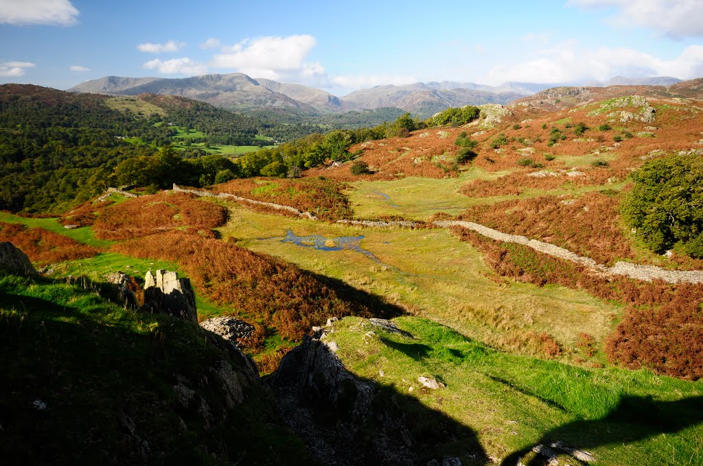 From Todd Crag. by Bob McCraight