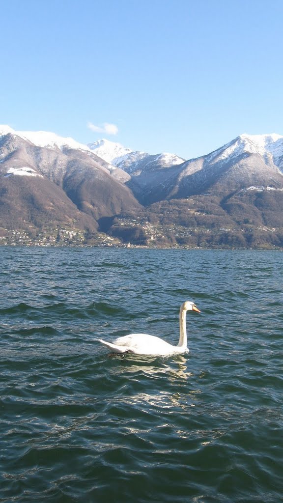 Minusio, Switzerland by H. Herbig