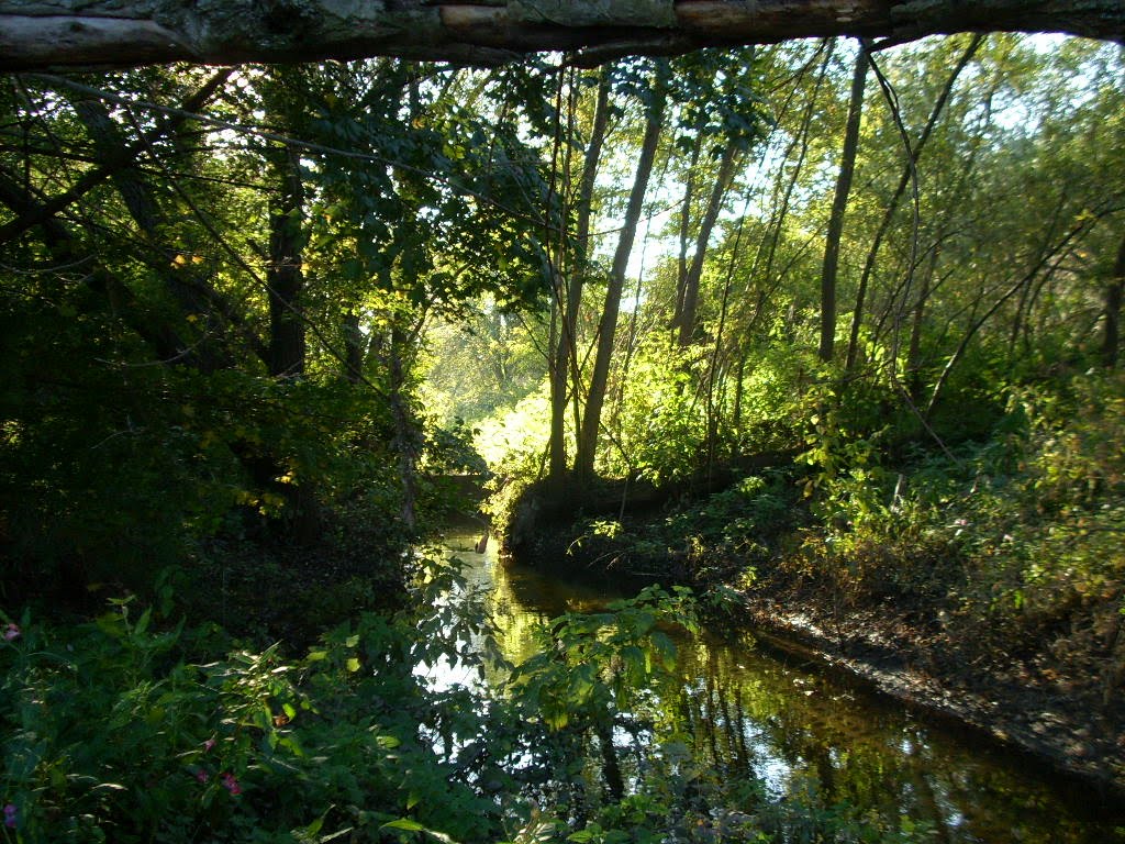 Saaleaue, Halle (Saale), Germany by Jörg Hofmann