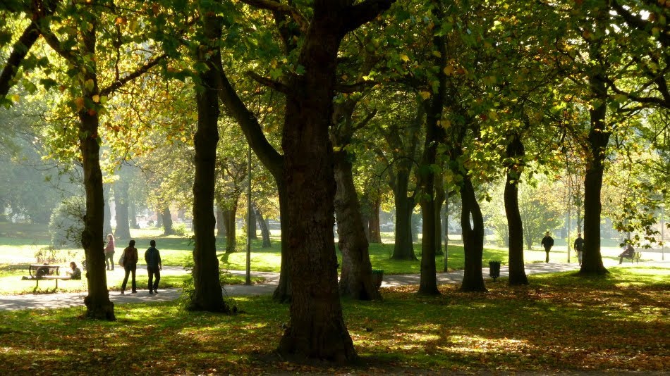 Whitworth Park from next to Whitworth Gallery, Moss Side, Manchester by Dai O'Nysius