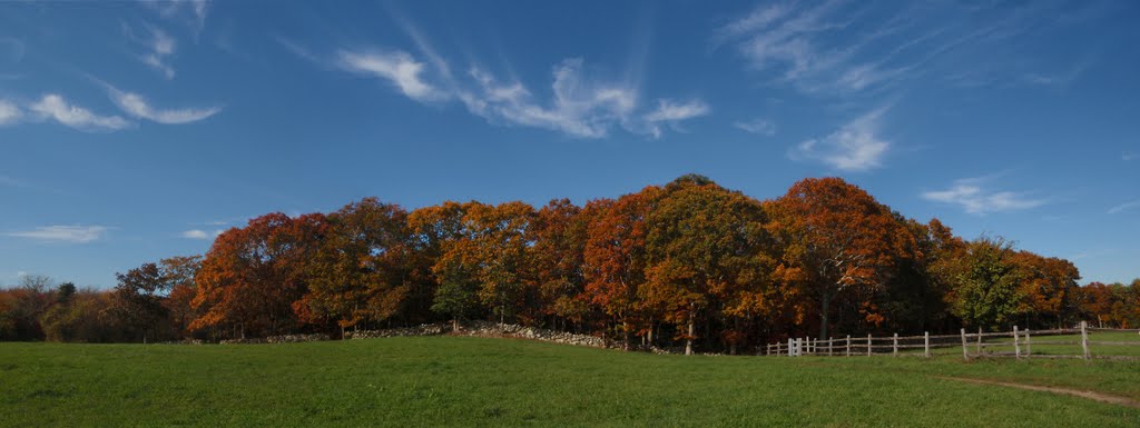 Destruction Brook Woods by Vaillancourt Photography