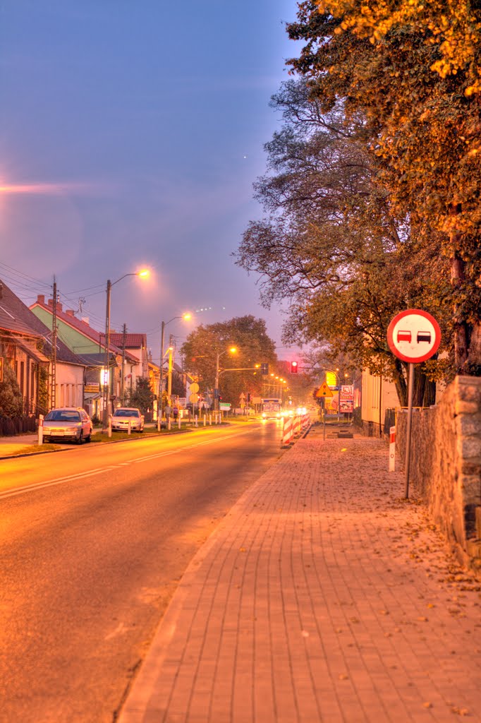 Mierzyn, Poland by Piotr Rębisz