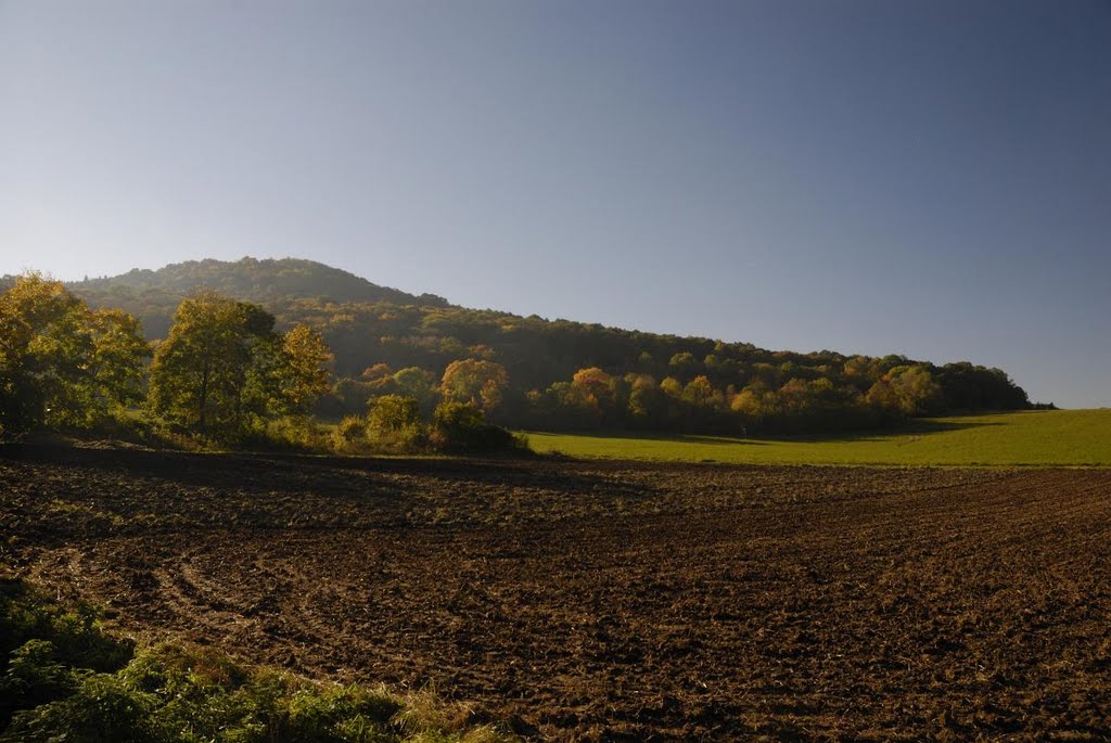 Velemín, Czech Republic by David Hruska