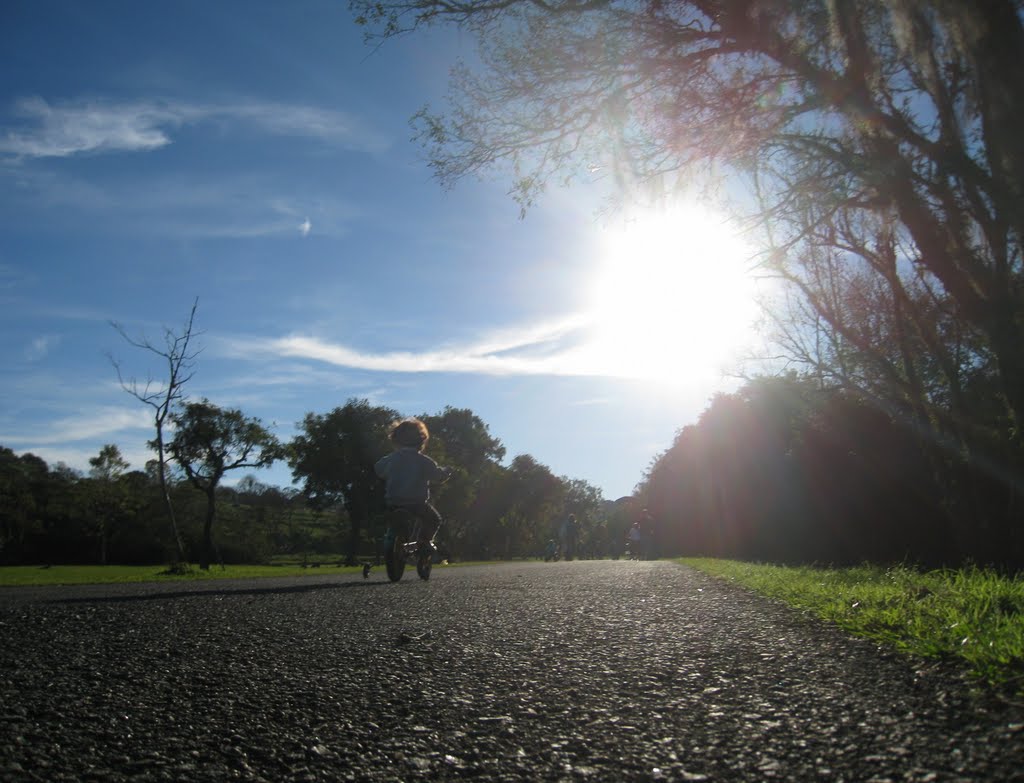 Parque Barigui - criança com bicicleta by harroba