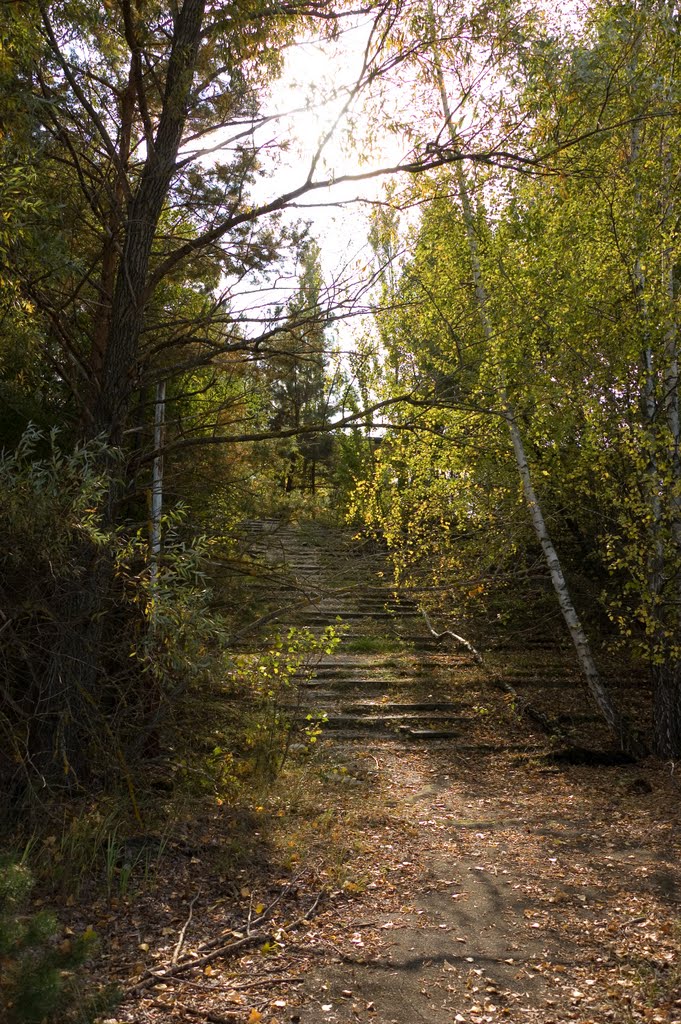 Stairs by Danieldll