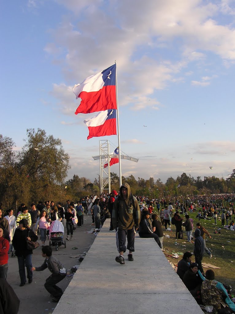 Banderas, Parque O'Higgins, Santiago de Chile by Gillermo Adolfo